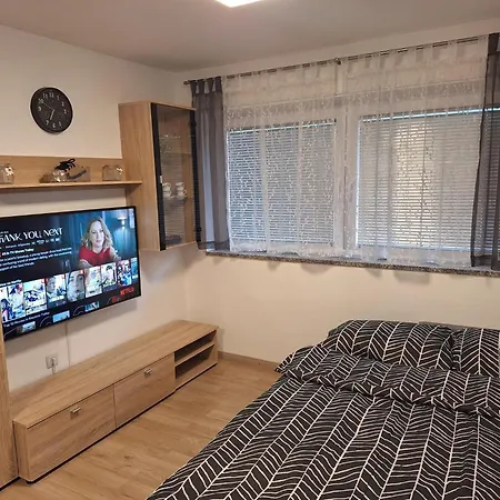 Belka Apartma Jesenice